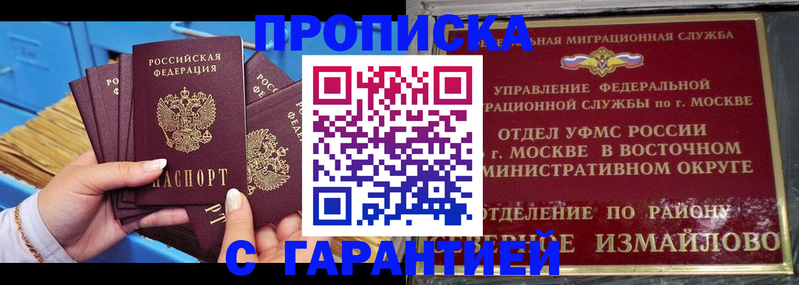 прописка поиск в Гатчине